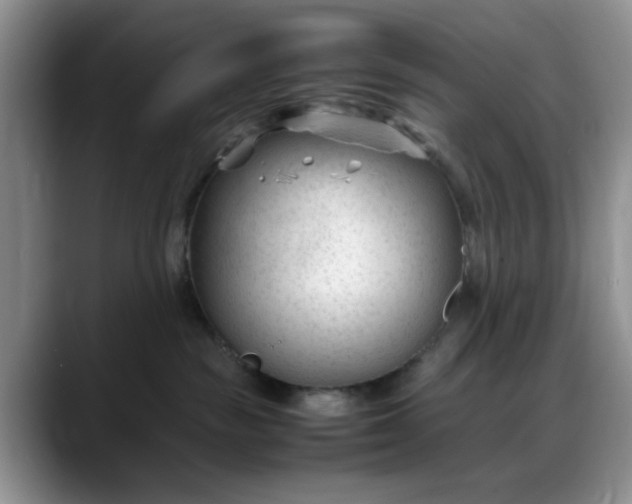 X0000088170189200705291939