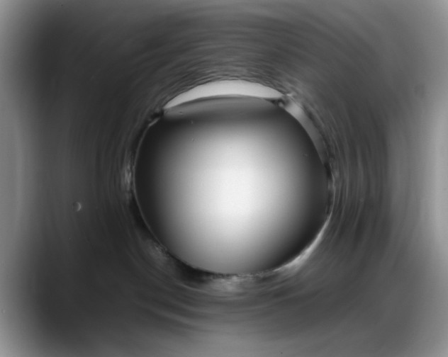 X0000088170190200705291939