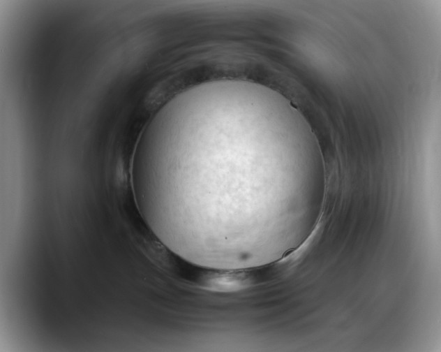 X0000088170191200705291939