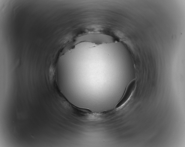 X0000088170192200705291939