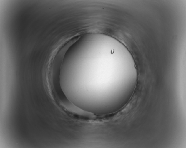 X0000088170193200705291938