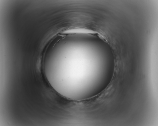 X0000088170194200705291938