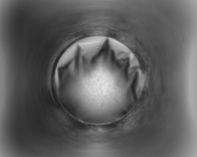 X0000088170195200705291938