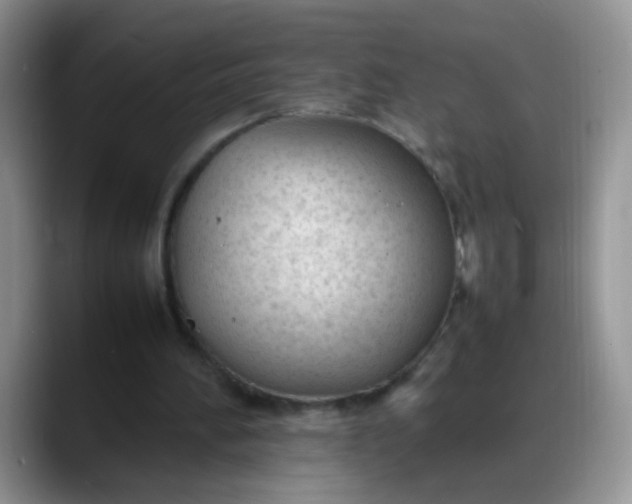 X0000088170196200705291938