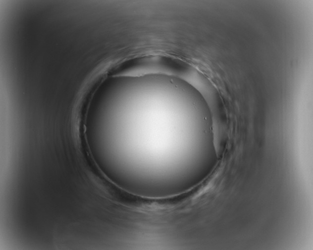 X0000088170197200705291938