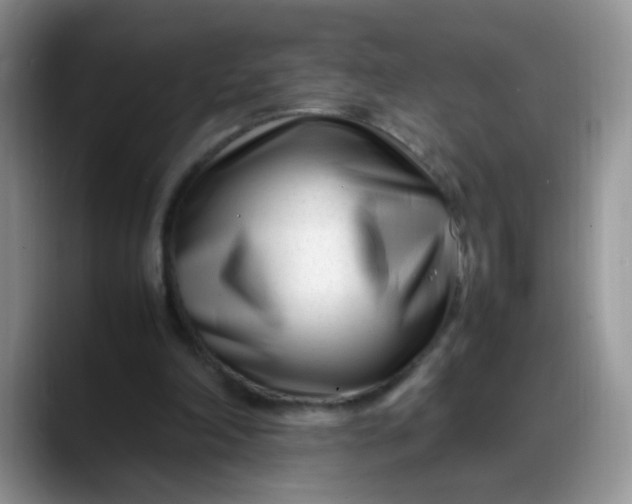 X0000088170198200705291938