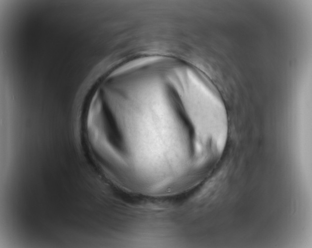 X0000088170199200705291938