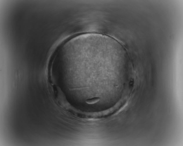 X0000088170200200705291938