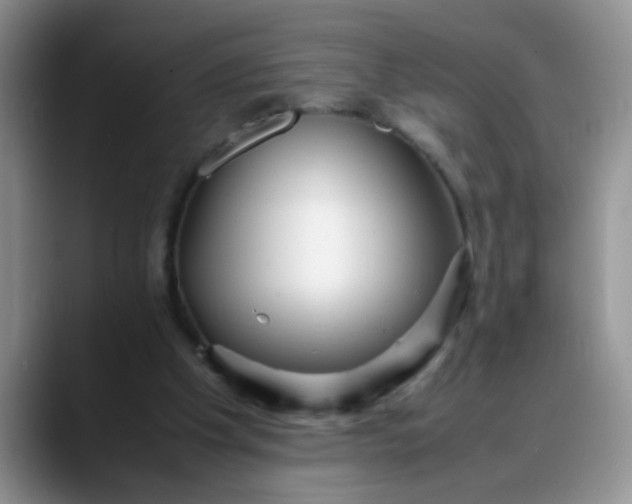 X0000088170201200705291938