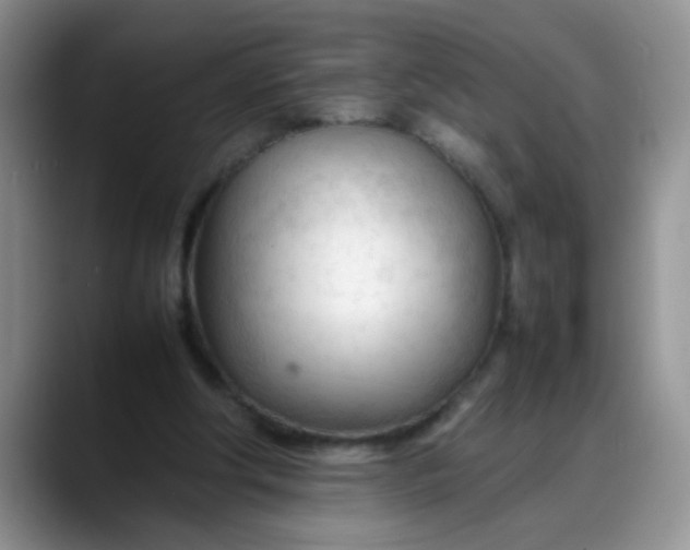 X0000088170202200705291938