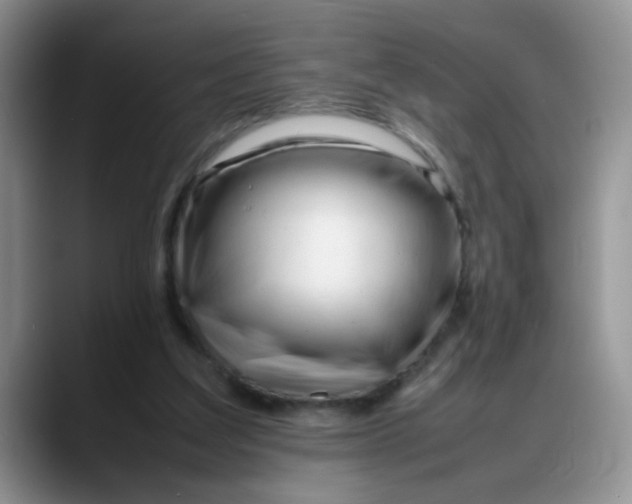 X0000088170203200705291938