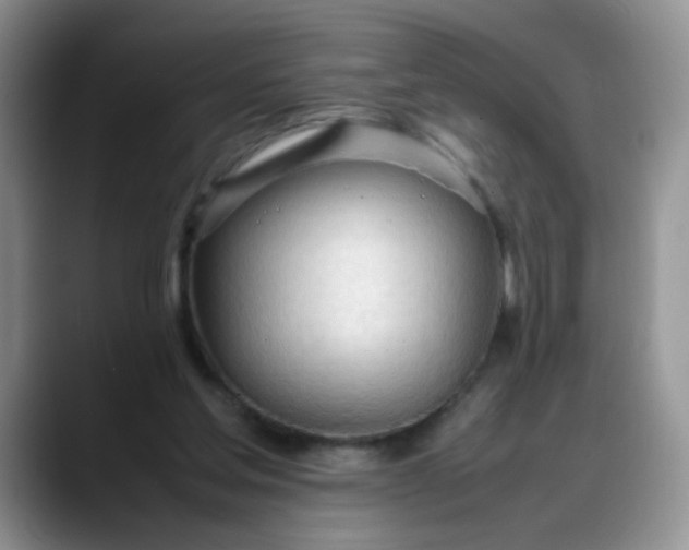 X0000088170205200705291938