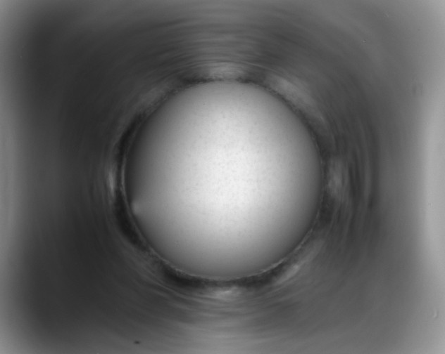 X0000088170206200705291938