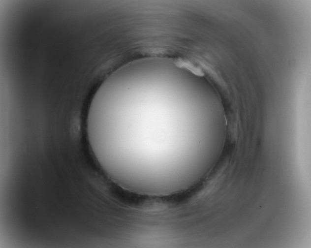 X0000088170207200705291938