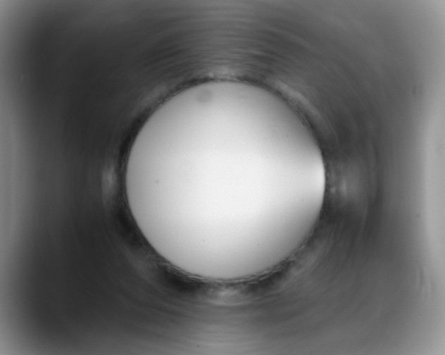 X0000088170208200705291938