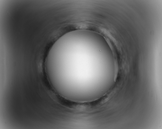 X0000088170209200705291938