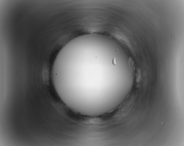 X0000088170210200705291938