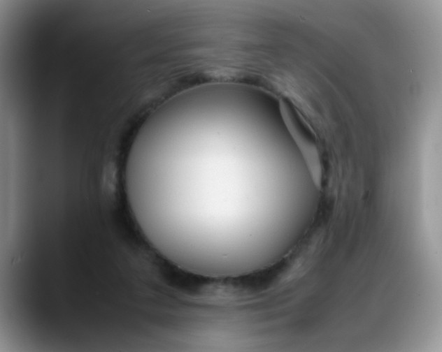 X0000088170211200705291938