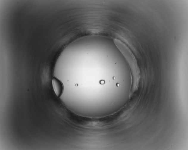 X0000088170212200705291938