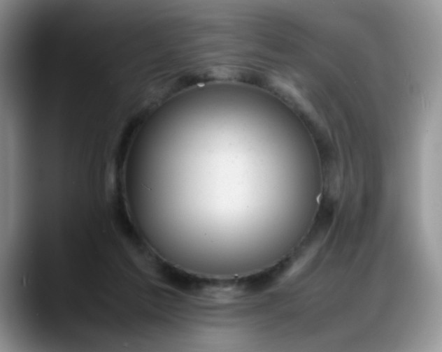 X0000088170213200705291938