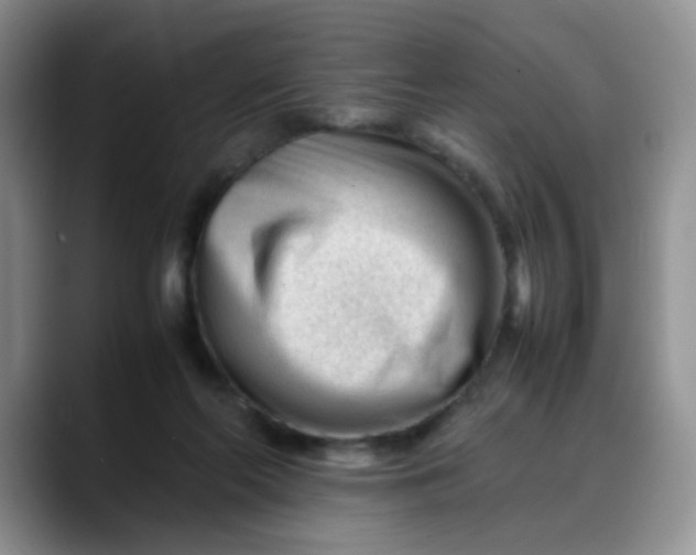 X0000088170214200705291938