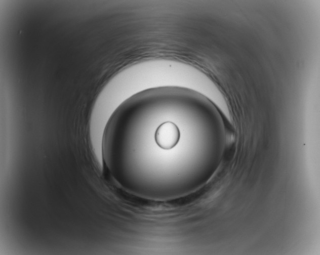 X0000088170215200705291938