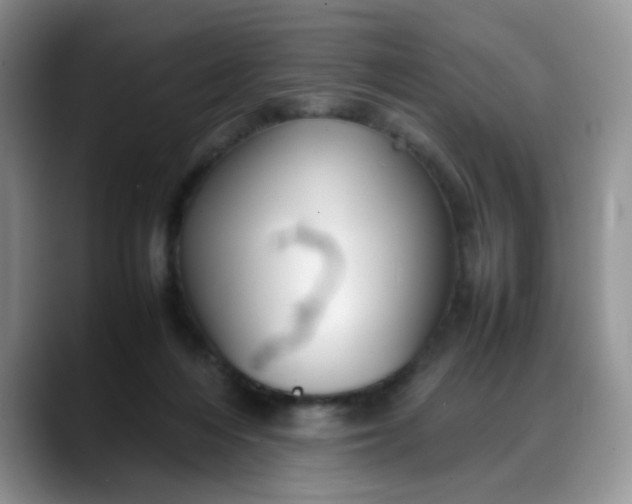 X0000088170216200705291938