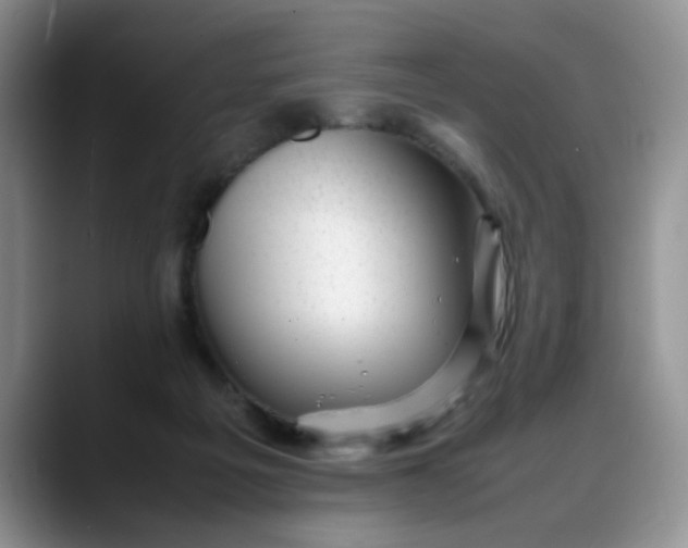 X0000088170217200705291938