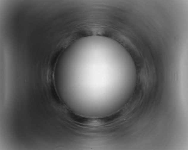 X0000088170218200705291938