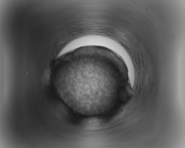 X0000088170219200705291938