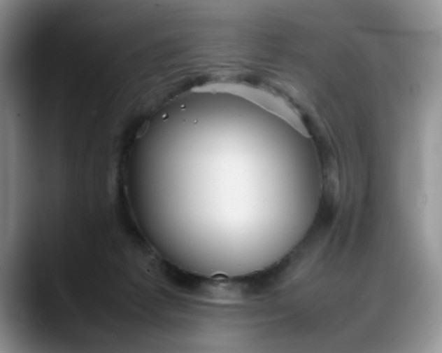 X0000088170221200705291938