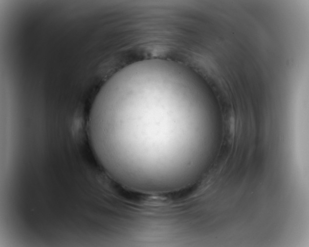 X0000088170222200705291938