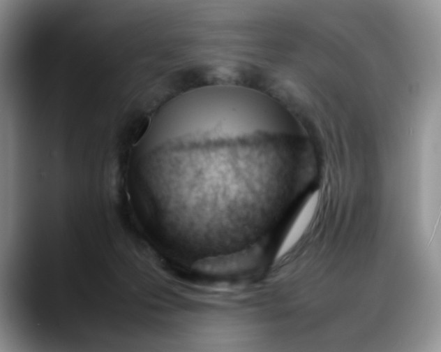 X0000088170223200705291938