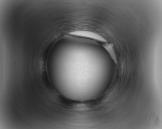 X0000088170224200705291938