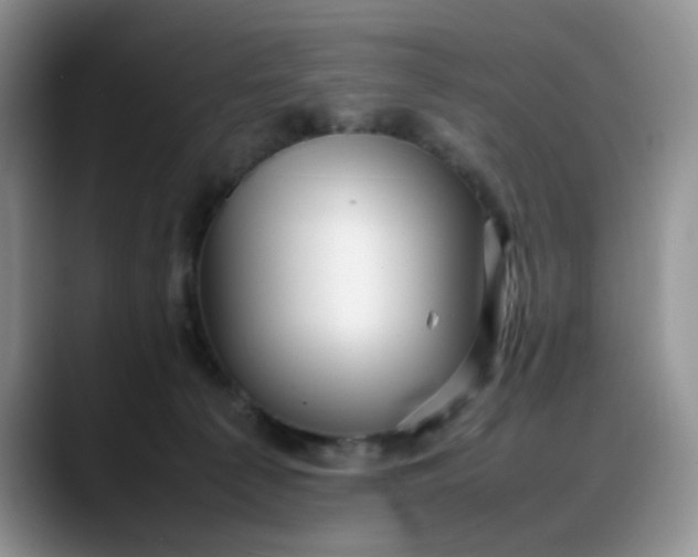 X0000088170225200705291938