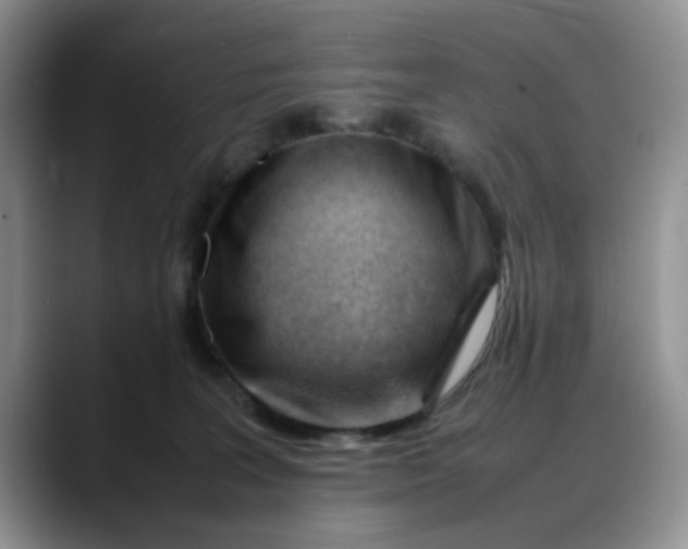 X0000088170227200705291938