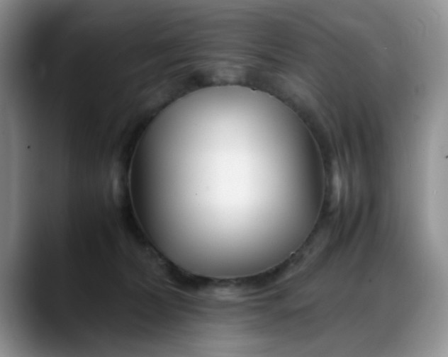 X0000088170228200705291938