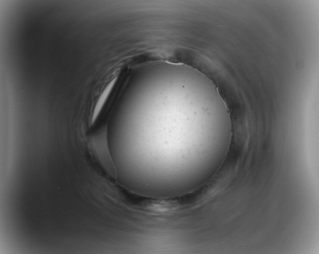 X0000088170229200705291938