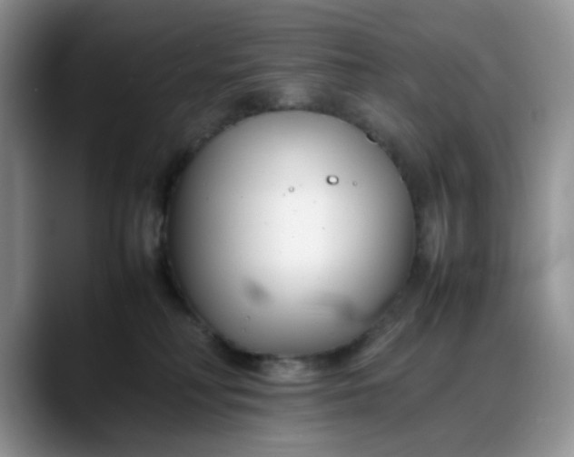 X0000088170230200705291938