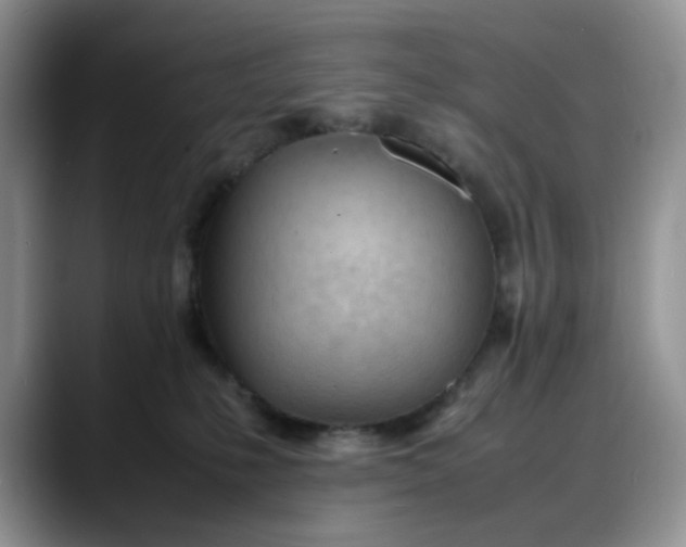 X0000088170231200705291938