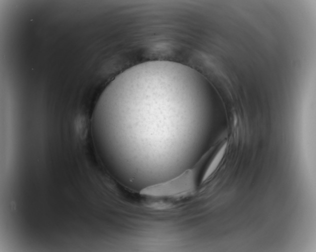 X0000088170232200705291938