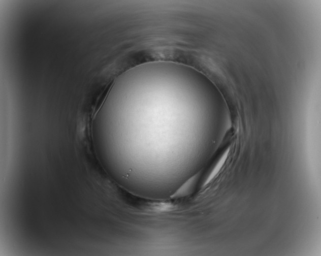 X0000088170233200705291938