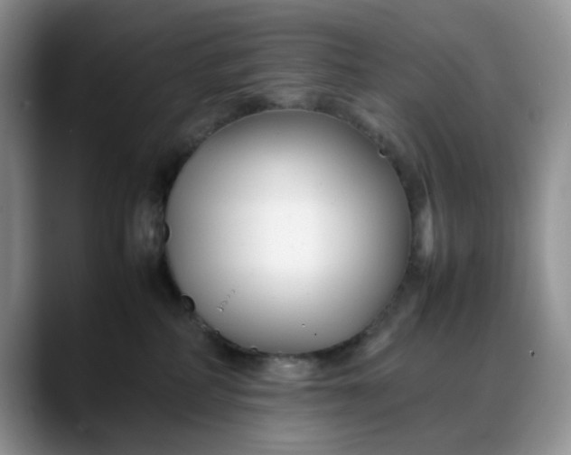 X0000088170234200705291938