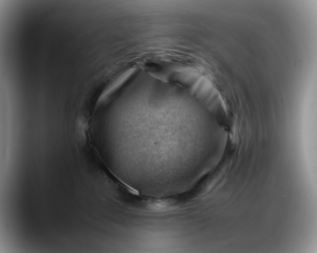 X0000088170235200705291938