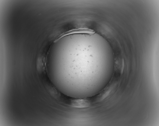 X0000088170237200705291938