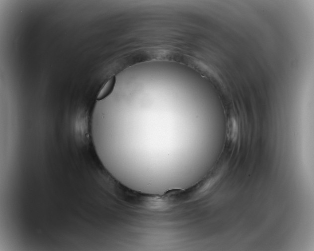 X0000088170238200705291938