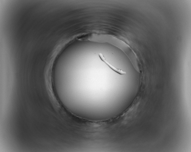 X0000088170241200705291937