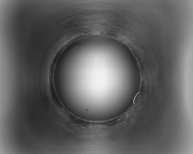 X0000088170242200705291937