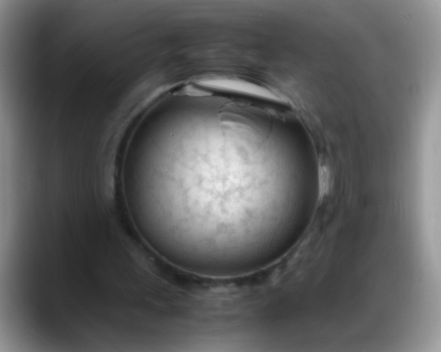 X0000088170243200705291937