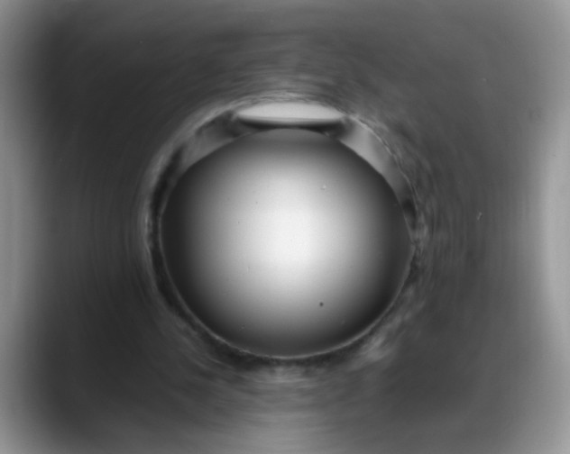 X0000088170244200705291937